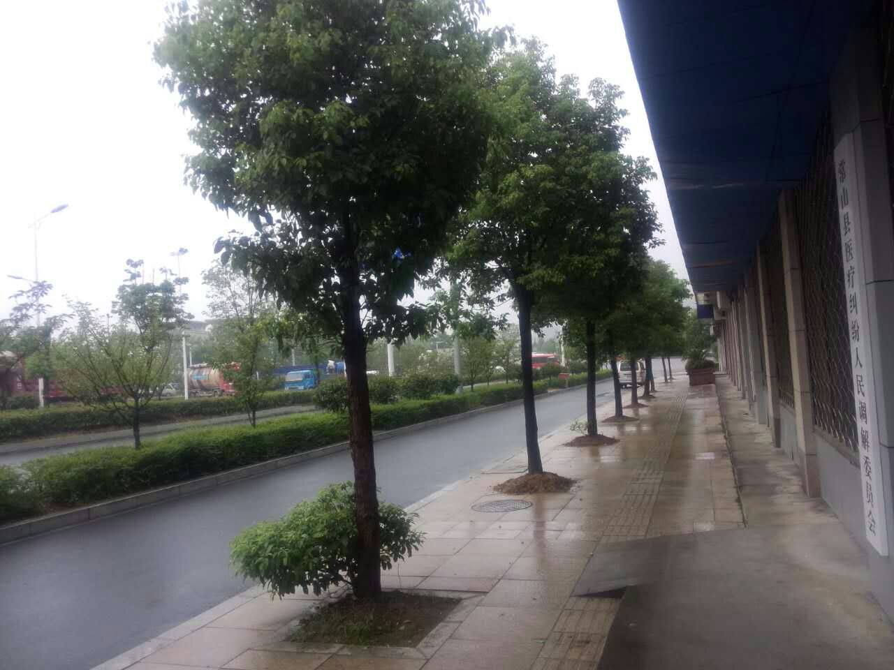 mmexport1439685672574.jpg