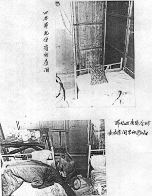δ-3.jpg