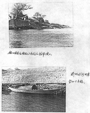 δ-2.jpg
