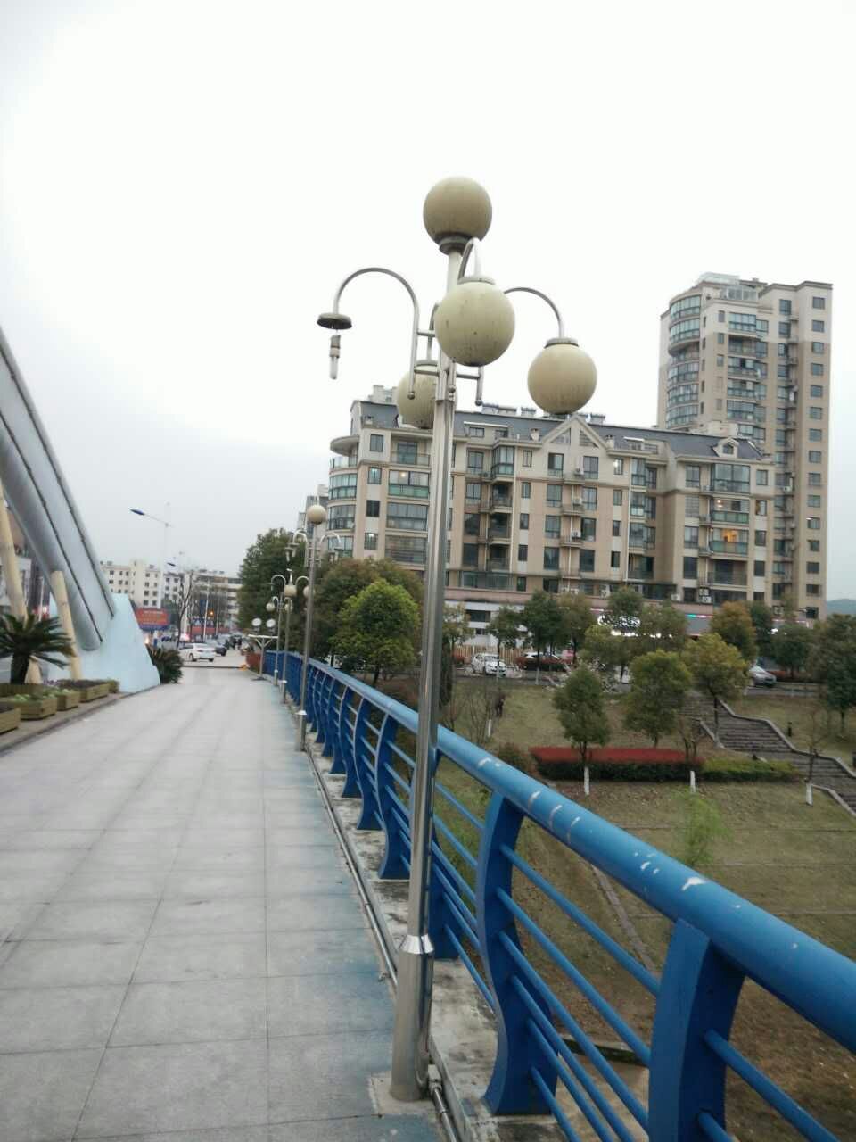 mmexport1458302902863.jpg