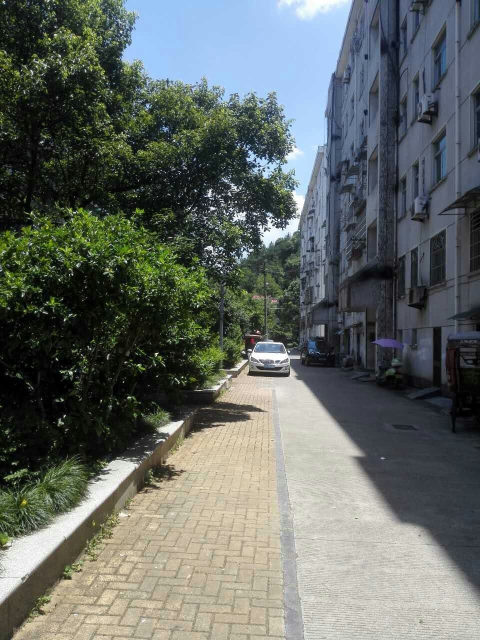 mmexport1500614366782.jpg